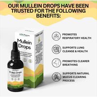 EA Pharma Mullein Drops